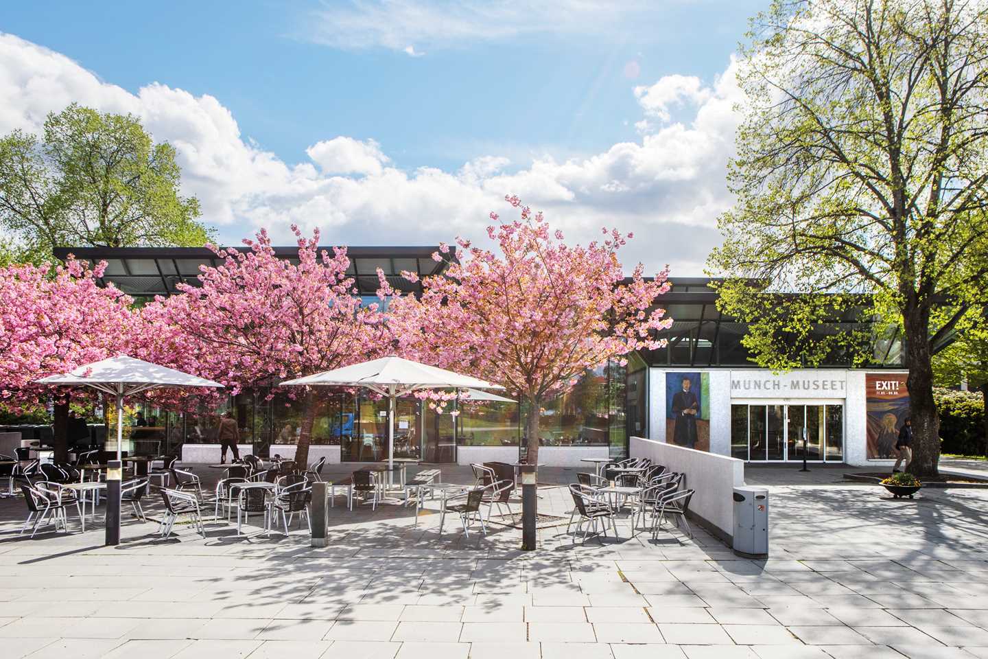 Dagens inngangsparti med kirsebærtrær i blomst, fotografert ved åpningen av Exit!-utstillingen i mai 2019. Foto @ Munchmuseet